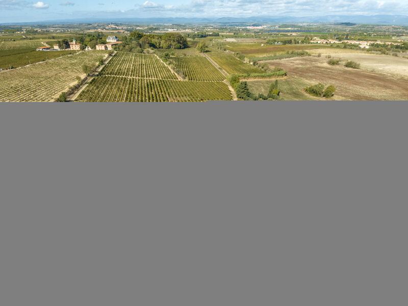 Le Clos Saint Emilie