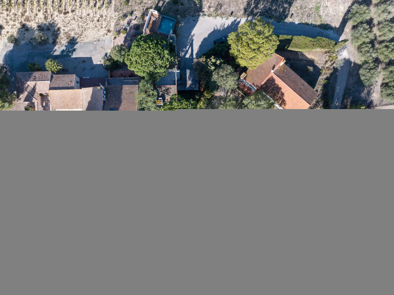 Le Clos Saint Emilie