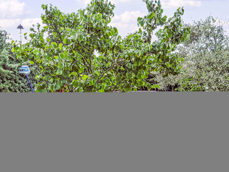 La Campagne Du Colorado