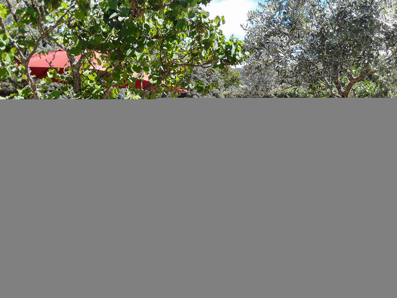 La Campagne Du Colorado