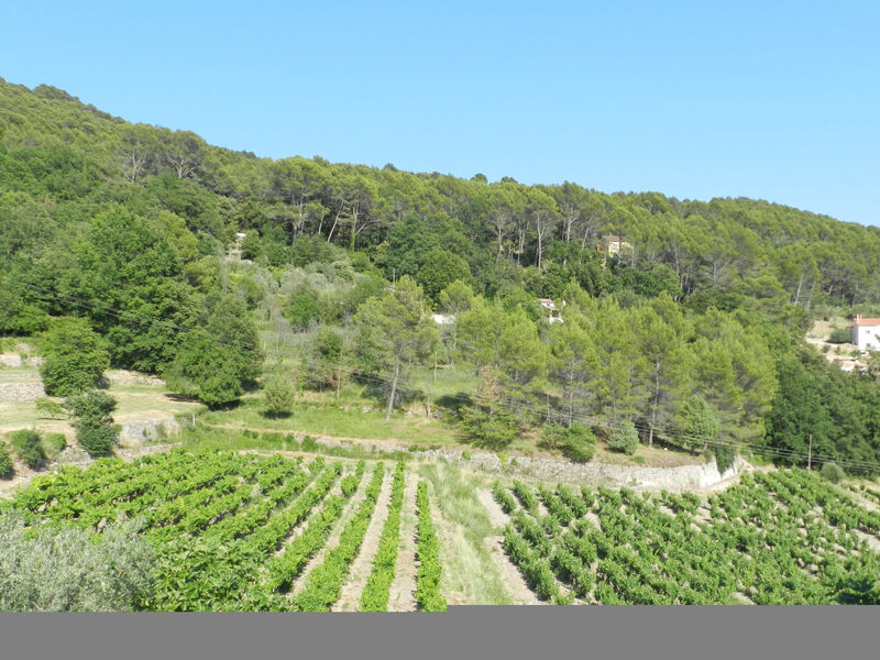 Les Grenaches