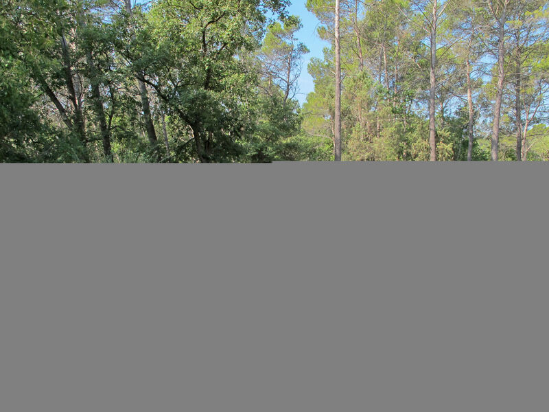 Le Collet des Redons