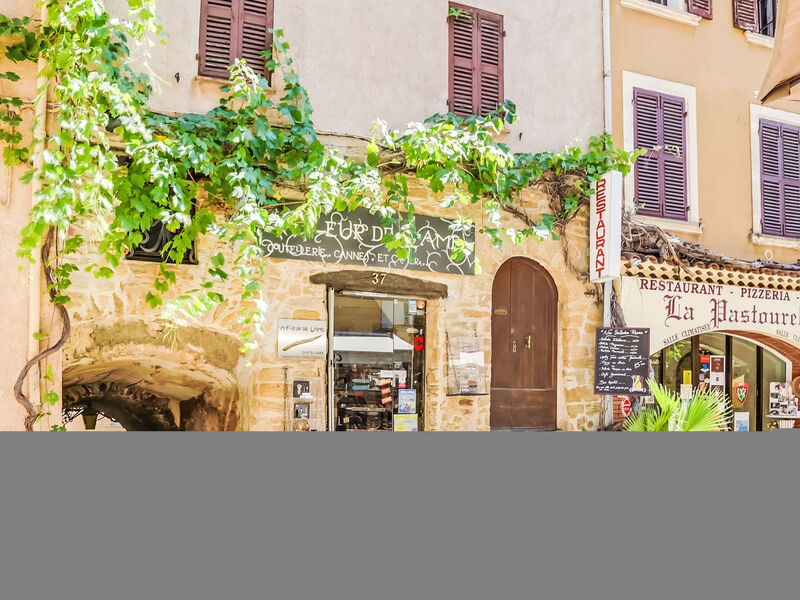 Village De Bormes Les Mimosas