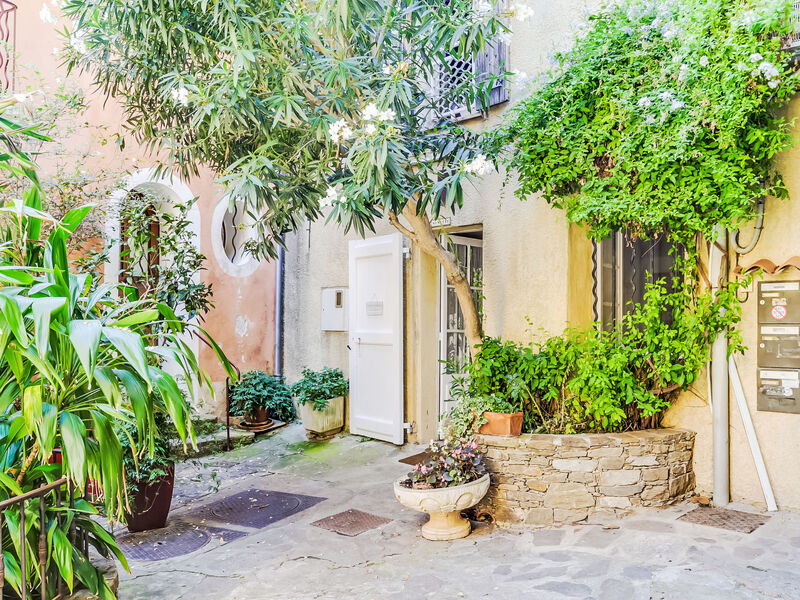 Village De Bormes Les Mimosas