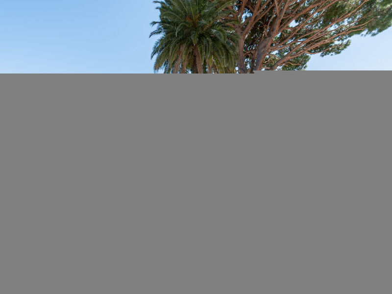 Les Jardins D'Amaryllis