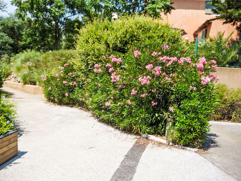 Les Restanques Golfe Saint Tropez