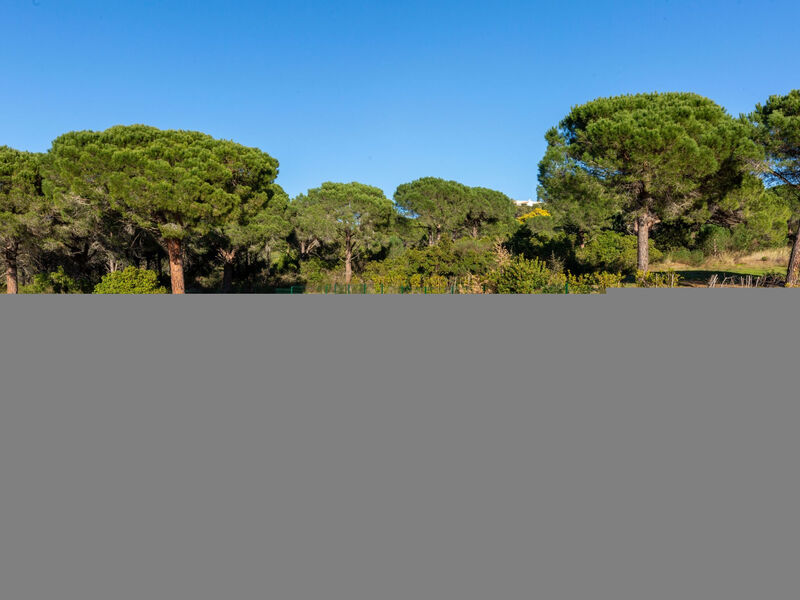 Le Mas D'Esquières 16