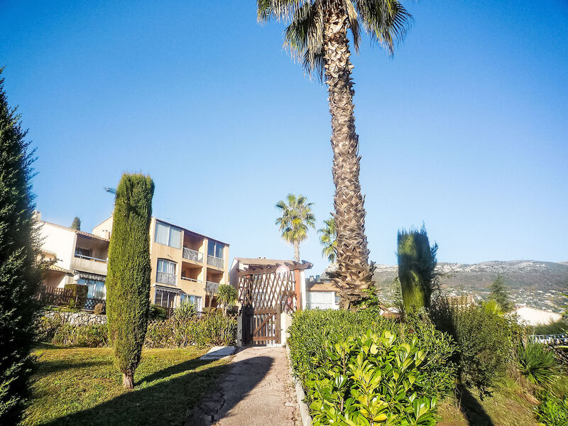 Le Jardin De Matisse