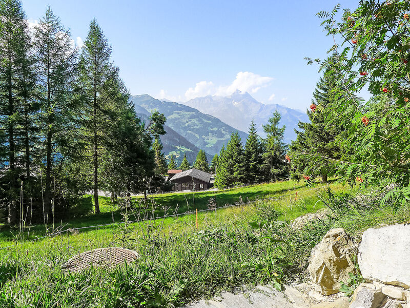 Les Beluardes Bl. 151/2