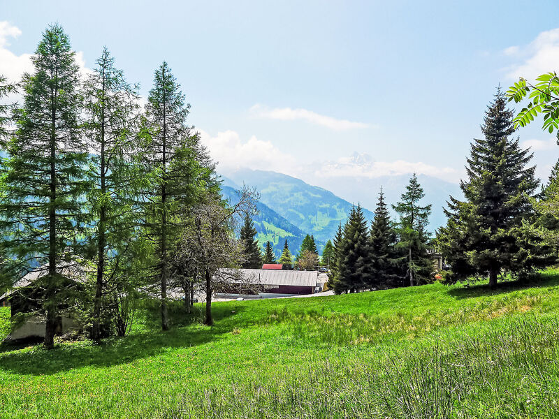 Les Beluardes Bl. 151/2