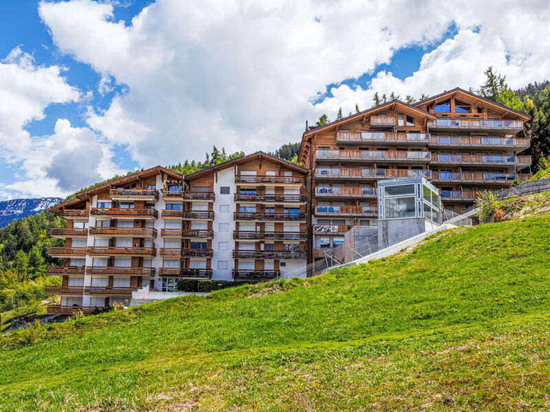 Les Terrasses de Nendaz D1