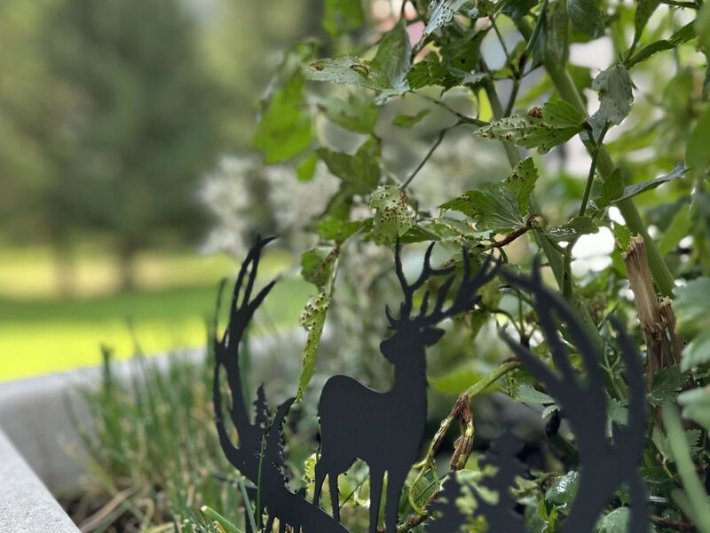 Ferienhaus Lomatte 1758