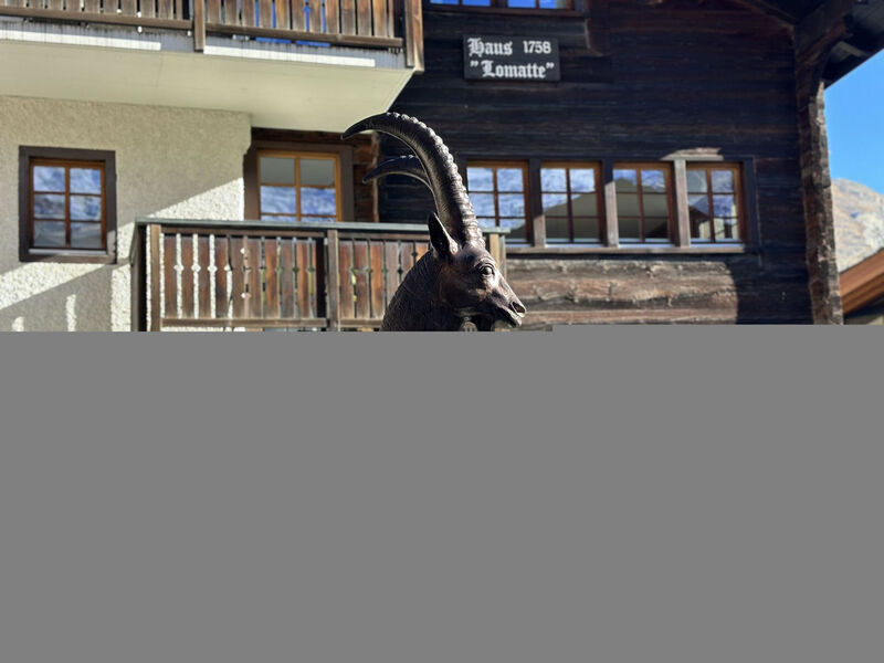 Ferienhaus Lomatte 1758