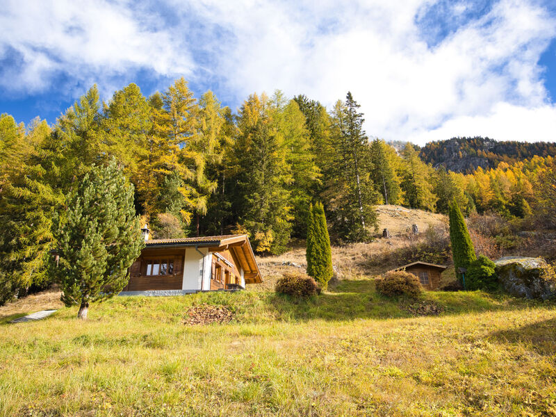 Als Man Zählte 1989