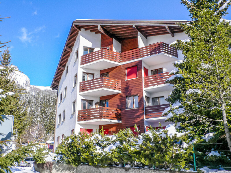 Violettes-Vacances A/B/C