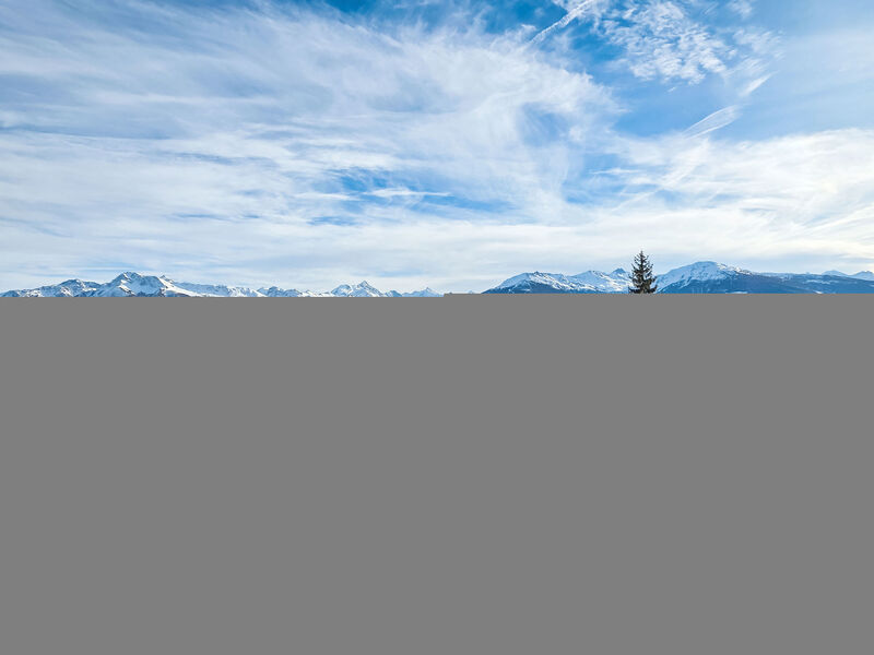 Marigny Dent-Blanche