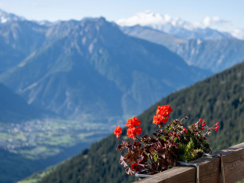 Appartementhaus Zurschmitten 15