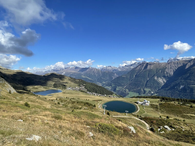 Amici 1. Stock Allegra