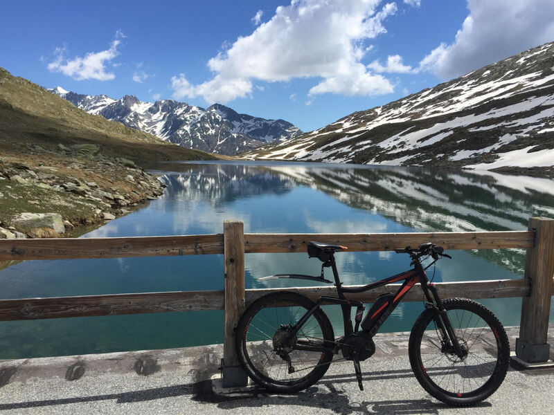 Amici 1. Stock Allegra