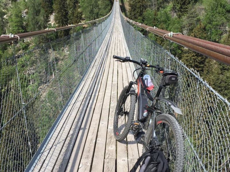 Amici 1. Stock Allegra