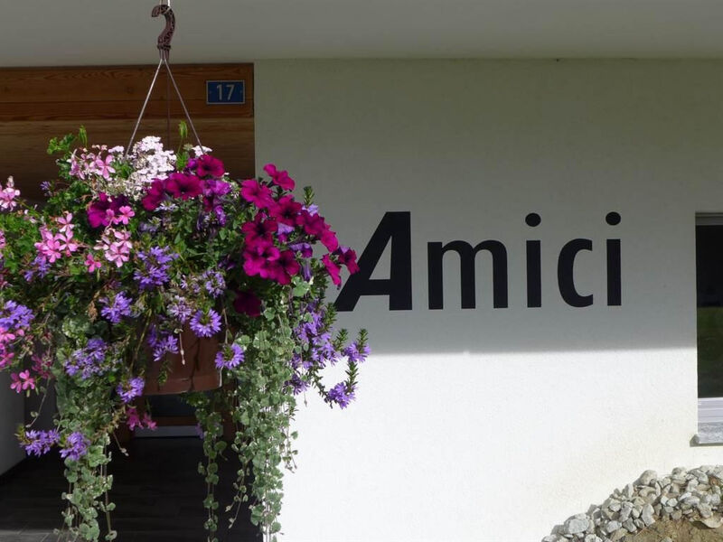 Amici 1. Stock Allegra