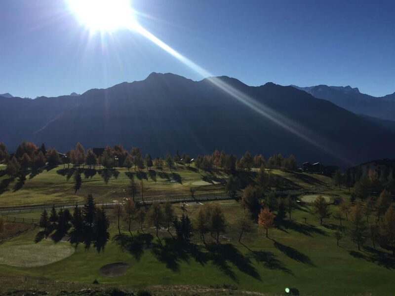 Amici 1. Stock Allegra