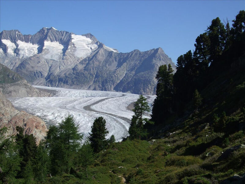 Amici 1. Stock Allegra