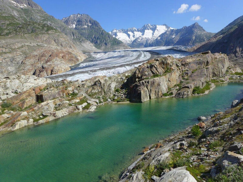 Amici 1. Stock Allegra