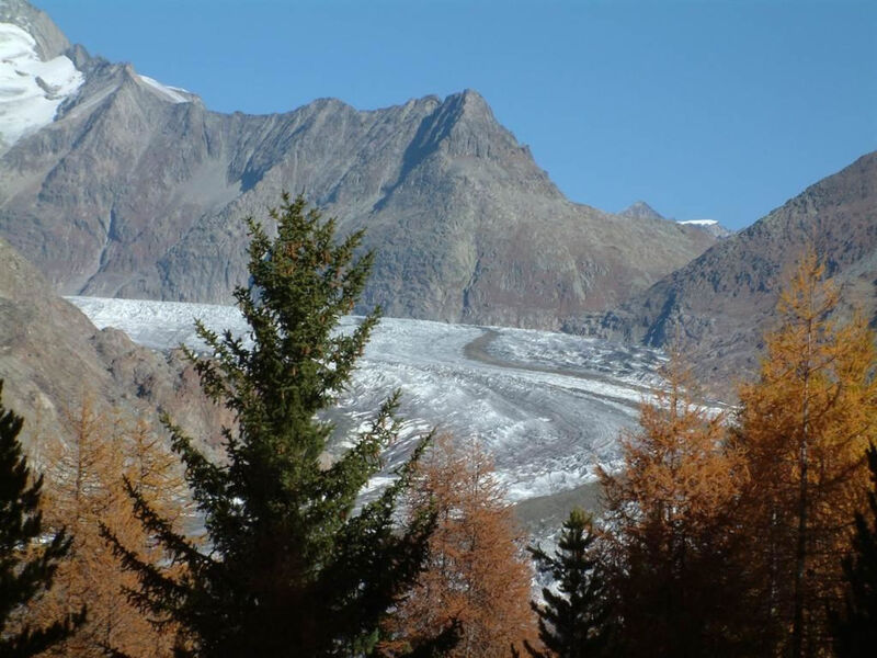 Amici 1. Stock Allegra