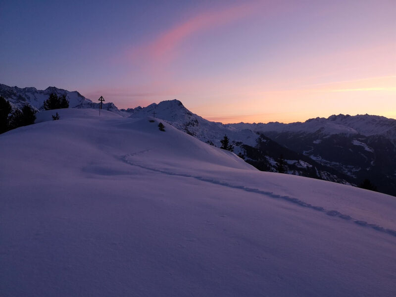 Amici 1. Stock Allegra