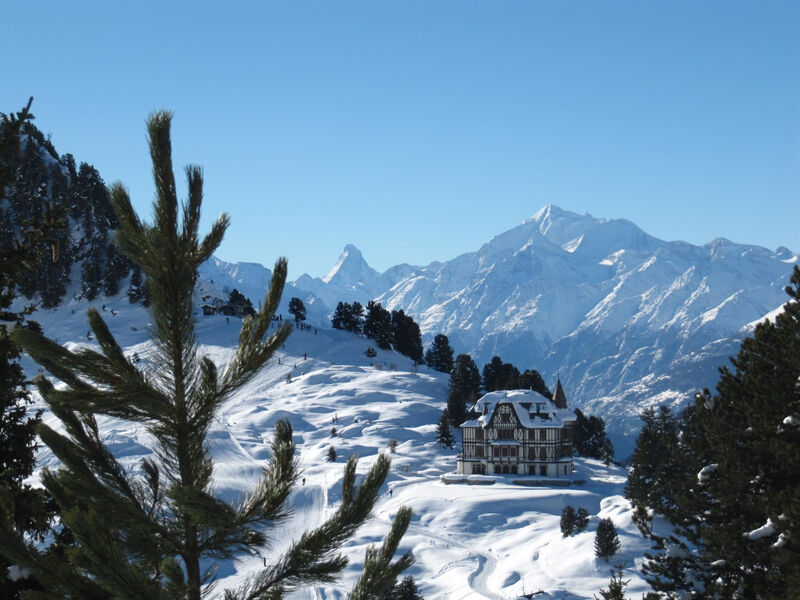 Amici 1. Stock Allegra