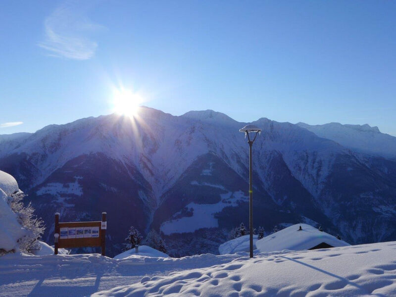 Amici 1. Stock Allegra