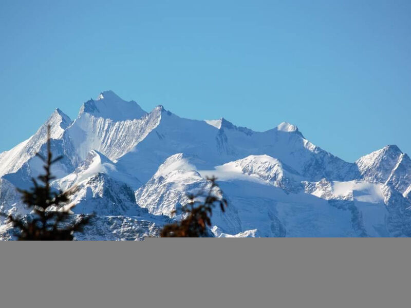 Bärgblüemli - 1. Stock Ost