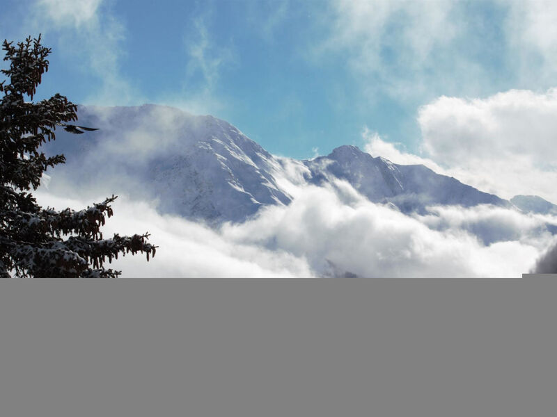 Bärgblüemli - 2. Stock Ost