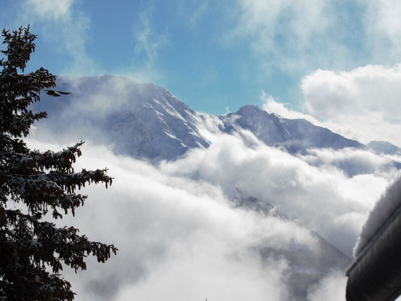 Bärgblüemli - Parterre