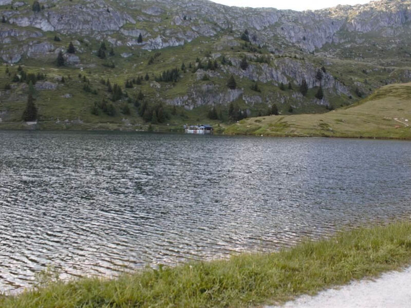 Bärgblüemli - Parterre