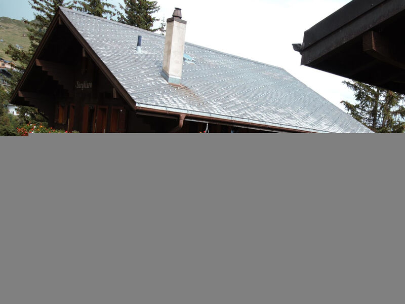 Bärgblüemli - Parterre