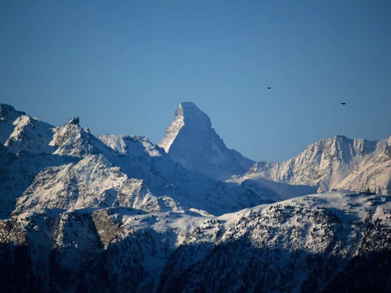Bärgblüemli - Parterre