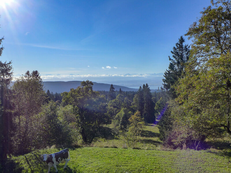 Chalet De La Vue Des Alpes