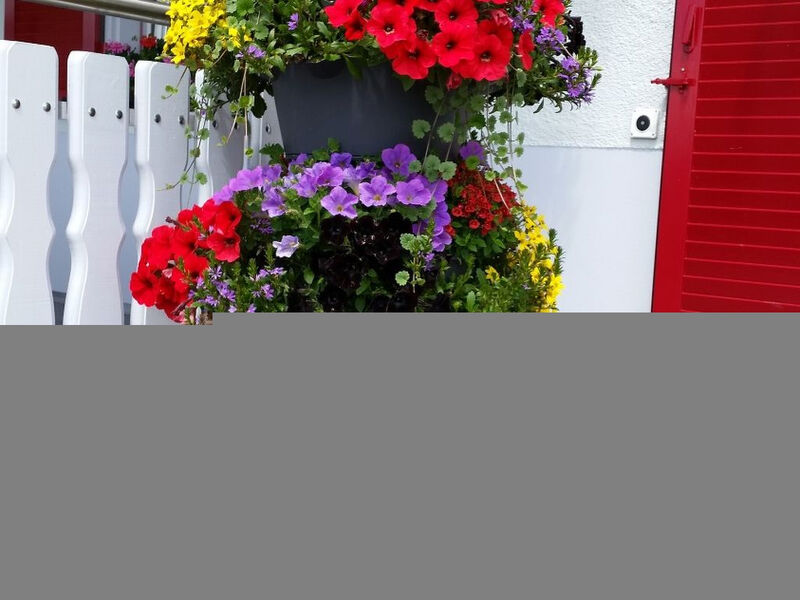 Appartement - Bellevue