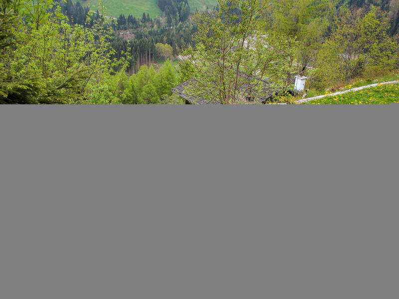 Chalet Les Pitchounes