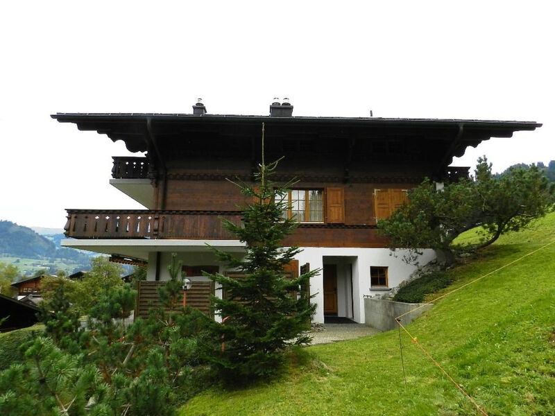 Hornflue (Wohlwender)