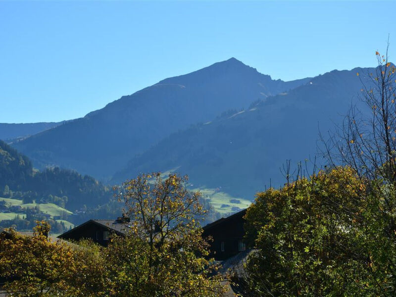 Hornflue (Wohlwender)