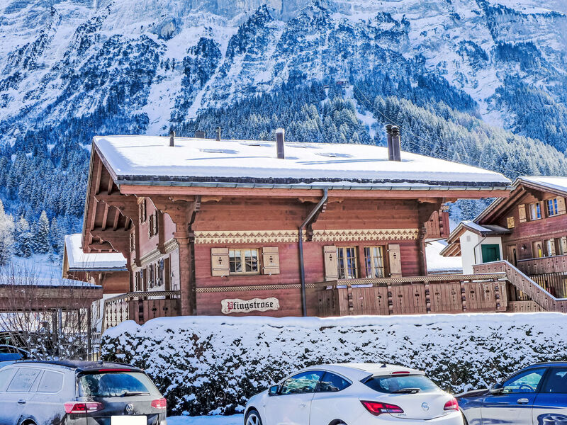 Chalet Pfingstrose