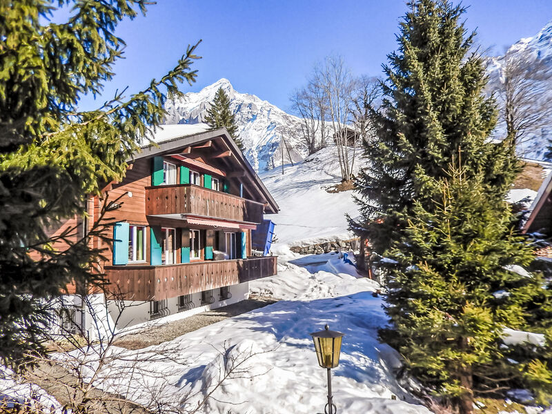 Chalet Bienli