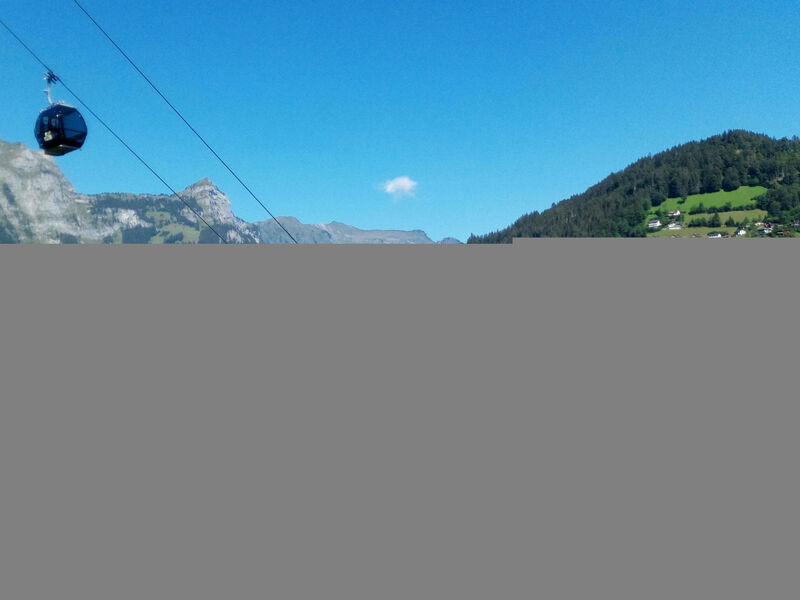 Erlenrain Wohnung 911