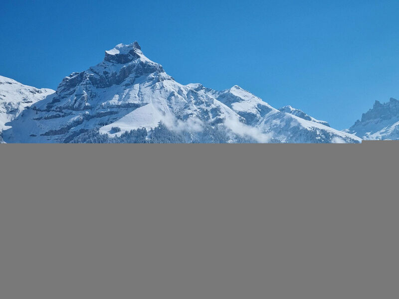 Erlenrain Wohnung 911