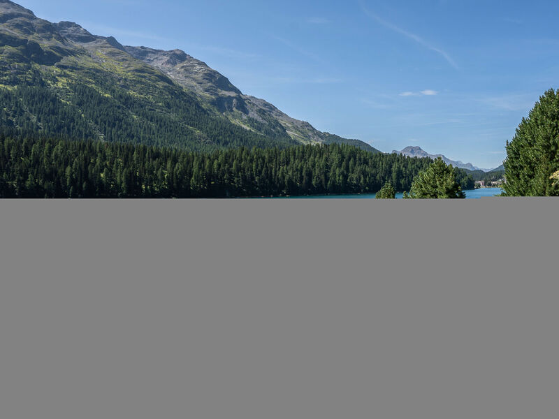 Chesa Anemona al Lej