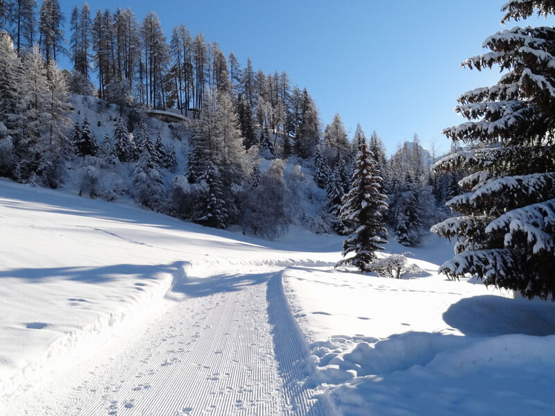 Ferienwohnung Chasa Quadra