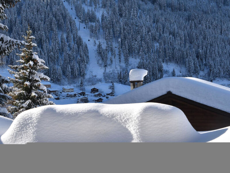 Ferienwohnung Schatz